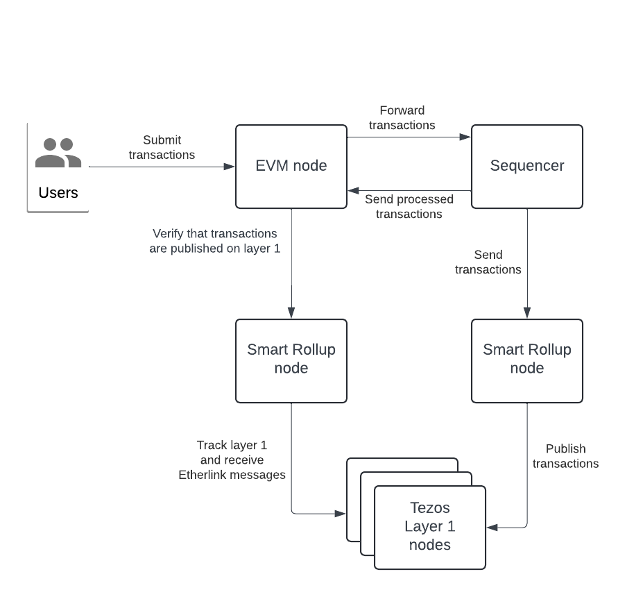 A high-level diagram of Etherlink architecture, showing the interaction between the nodes and the sequencer